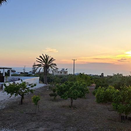 Nireas Villa Pafos Zewnętrze zdjęcie