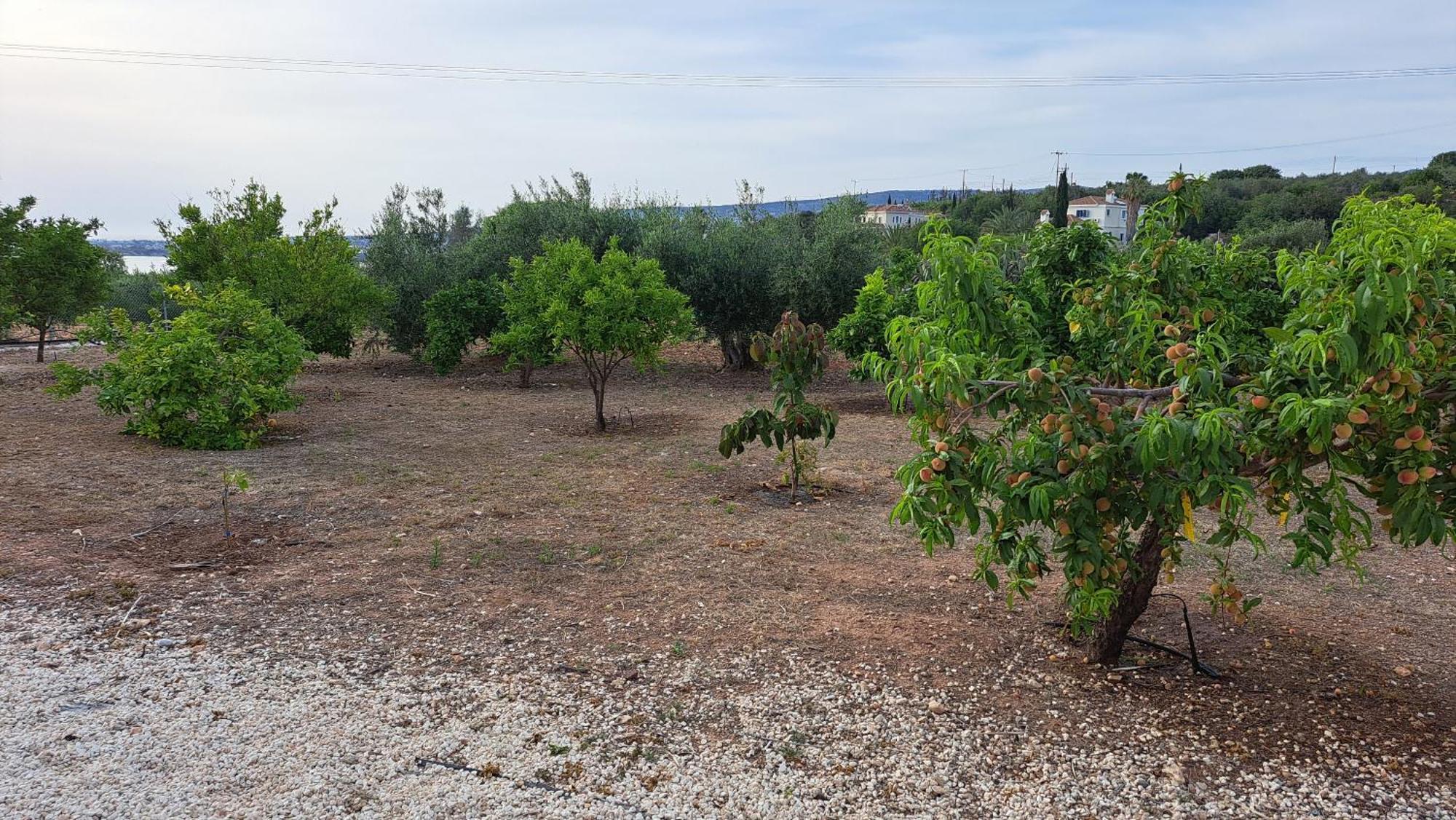 Nireas Villa Pafos Zewnętrze zdjęcie